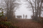 20241103-DSC06563