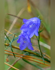 20241103-DSC06571-PS-4