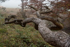20241103-DSC06581