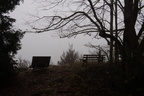 20241103-DSC06595