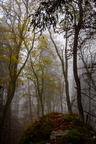 20241103-DSC06649