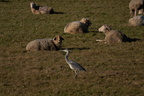 20241231-DSC07673